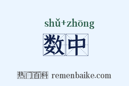 数中是什么意思的图片
